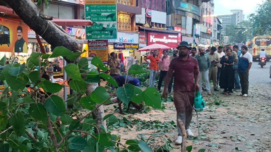 ಹಂಪನಕಟ್ಟೆ: ಮರದ ಕೊಂಬೆ ಮುರಿದು ಬಿದ್ದು ಬಸ್ಸಿಗೆ ಕಾಯುತ್ತಿದ್ದ 3 ಮಂದಿ ವಿದ್ಯಾರ್ಥಿನಿಯರಿಗೆ ಗಾಯ