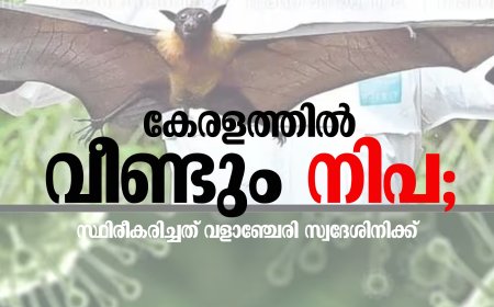 കേരളത്തില്‍ വീണ്ടും നിപ;  സ്ഥിരീകരിച്ചത് വളാഞ്ചേരി സ്വദേശിനിക്ക്