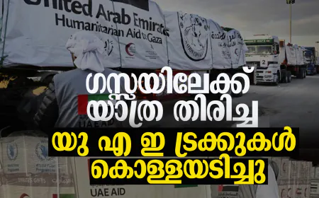 ഗസ്സയിലേക്ക് യാത്ര തിരിച്ച യു എ ഇ ട്രക്കുകള്‍ കൊള്ളയടിച്ചു