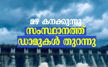 മഴ കനക്കുന്നു;  സംസ്ഥാനത്ത്  ഡാമുകള്‍ തുറന്നു