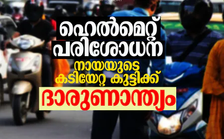 ഹെല്‍മെറ്റ് പരിശോധന; നായയുടെ കടിയേറ്റ കുട്ടിക്ക് ദാരുണാന്ത്യം