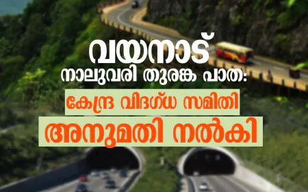 വയനാട് നാലുവരി തുരങ്ക പാത: കേന്ദ്ര വിദഗ്ധസമിതി അനുമതി നല്‍കി