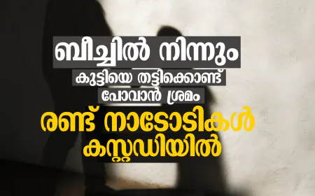 ബീച്ചില്‍ നിന്നും കുട്ടിയെ തട്ടിക്കൊണ്ട്  പോവാന്‍ ശ്രമം; രണ്ട് നാടോടികള്‍ കസ്റ്റഡിയില്‍