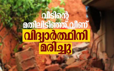 വീടിന്റെ മതിലിടിഞ്ഞ് വീണ് വിദ്യാര്‍ത്ഥിനി മരിച്ചു