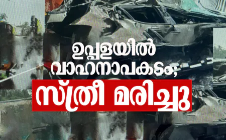 ഉപ്പളയില്‍ വാഹനാപകടം; സ്ത്രീ മരിച്ചു