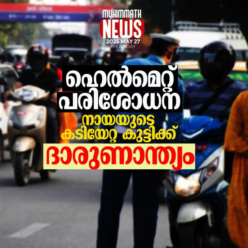 ഹെല്‍മെറ്റ് പരിശോധന; നായയുടെ കടിയേറ്റ കുട്ടിക്ക് ദാരുണാന്ത്യം