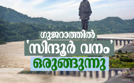 ഗുജറാത്തില്‍ 'സിന്ദൂര്‍ വനം' ഒരുങ്ങുന്നു