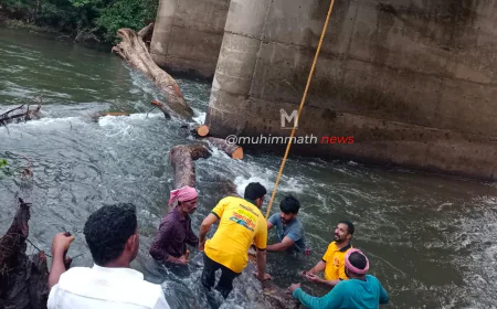 ಪೇರಡ್ಕ ಸೇತುವೆಗೆ ಅಡ್ಡವಾಗಿ ಬಿದ್ದ ಮರ: ಪಂಚಾಯತ್ ಹಾಗೂ ಅರಣ್ಯಾಧಿಕಾರಿ ನಿರ್ದೇಶನದಂತೆ ಸಾಹಸಮಯವಾಗಿ ಮರವನ್ನು ತೆರವುಗೊಳಿಸಿದ SჄS ಇಸಾಬ ಸಾಂತ್ವನ ತಂಡ