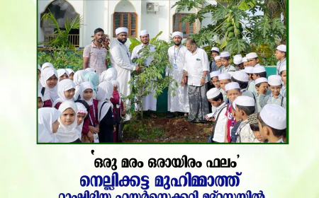 നെല്ലിക്കട്ട മുഹിമ്മാത്ത് റാഷിദിയ്യ ഹയര്‍ സെക്കണ്ടറി മദ്‌റസയില്‍ പരിസ്ഥിതി ദിനം ആഘോഷിച്ചു.