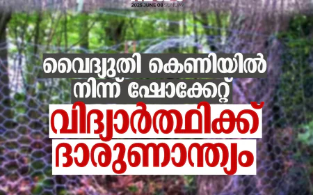 വൈദ്യുതി കെണിയില്‍ നിന്ന് ഷോക്കേറ്റ് വിദ്യാര്‍ത്ഥിക്ക് ദാരുണാന്ത്യം