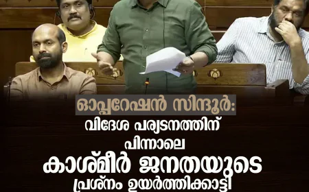 ഓപ്പറേഷന്‍ സിന്ദൂര്‍: വിദേശ പര്യടനത്തിന് പിന്നാലെ കാശ്മീര്‍ ജനതയുടെ പ്രശ്‌നം ഉയര്‍ത്തിക്കാട്ടി  ജോണ്‍ ബ്രിട്ടാസ് എം പി
