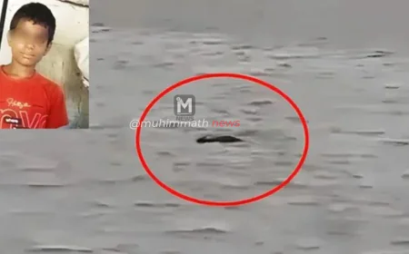 ನದಿಯಲ್ಲಿ ಎಮ್ಮೆಗೆ ಸ್ನಾನ ಮಾಡಿಸುತ್ತಿದ್ದಾಗ ಬಾಲಕನ ಎಳೆದೊಯ್ದಿ ಮೊಸಳೆ.!