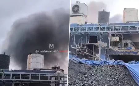 ಕೆಮಿಕಲ್ ಫ್ಯಾಕ್ಟರಿಯಲ್ಲಿ ಭೀಕರ ಸ್ಫೋಟ : 12 ಮಂದಿ ಸಾವು, ಹಲವರಿಗೆ ಗಾಯ