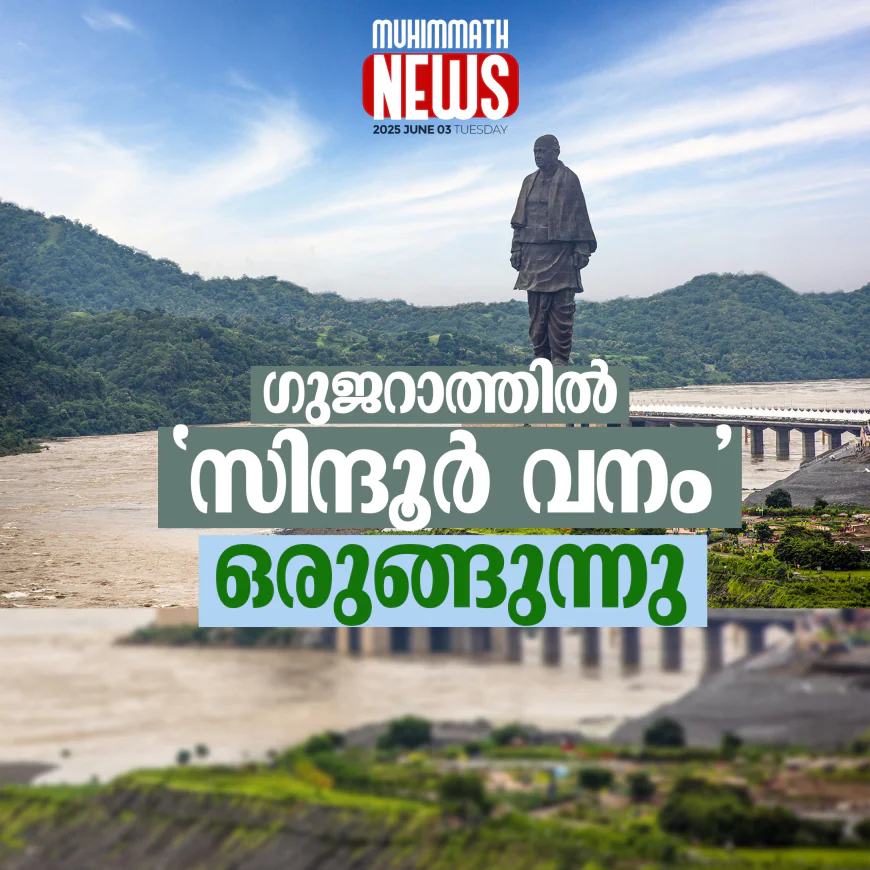 ഗുജറാത്തില്‍ 'സിന്ദൂര്‍ വനം' ഒരുങ്ങുന്നു