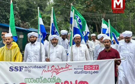 ജില്ലാ സാഹിത്യോത്സവ്: സാംസ്‌കാരിക ഘോഷയാത്ര വര്‍ണ്ണാഭമായി