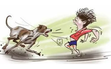 ಚಿಕ್ಕಮಗಳೂರು: ಬೀದಿ ನಾಯಿಗಳ ಹಾವಳಿ; 8 ಜನರ ಮೇಲೆ ದಾಳಿ, 3 ವರ್ಷದ ಮಗು ಸ್ಥಿತಿ ಗಂಭೀರ!