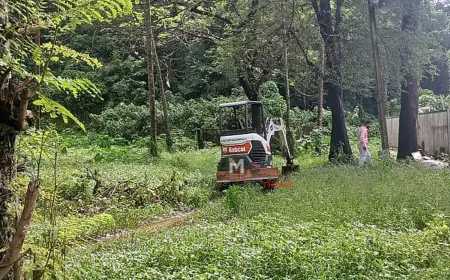 ಬೆಳ್ತಂಗಡಿ : ಮೃತದೇಹ ಹೂತು ಹಾಕಿದ ಪ್ರಕರಣ: ಎಸ್.ಐ.ಟಿಯಿಂದ ಇಂದಿನ ಕಾರ್ಯಾಚರಣೆ ಅಂತ್ಯ