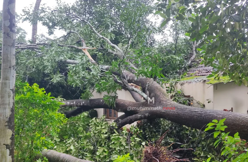 ಬಂಟ್ವಾಳದಲ್ಲಿ ಬಿರುಗಾಳಿ ಸಹಿತ ಮಳೆ : ಧರೆಗುರುಳಿದ ಮರಗಳು, ಮನೆಗಳಿಗೆ ವ್ಯಾಪಕ ಹಾನಿ