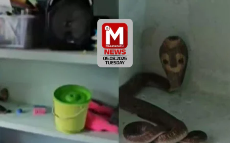 ക്ലാസ്സിലിരിക്കെ പത്തി വിടര്‍ത്തി മൂര്‍ഖന്‍; അങ്കണ്‍വാടി കുട്ടികള്‍ രക്ഷപ്പെട്ടത് തല നാഴികക്ക്