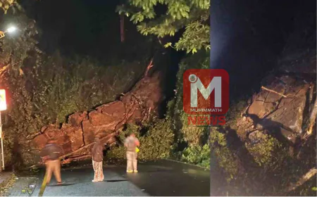 മണ്ണിടിച്ചിലിനെ തുടര്‍ന്ന് താമരശ്ശേരി ചുരം വഴിയുള്ള ഗതാഗതം വിലക്കി 