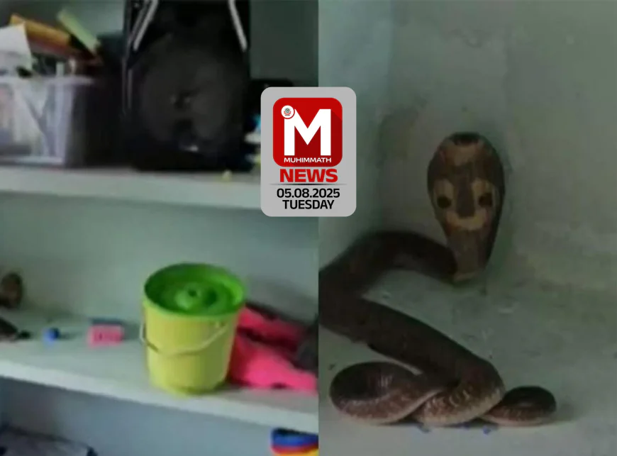 ക്ലാസ്സിലിരിക്കെ പത്തി വിടര്‍ത്തി മൂര്‍ഖന്‍; അങ്കണ്‍വാടി കുട്ടികള്‍ രക്ഷപ്പെട്ടത് തല നാഴികക്ക്