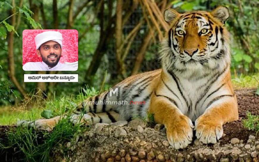 ರಾಷ್ಟ್ರ ಹಬ್ಬದ ಸುತ್ತಲೂ ರಾಷ್ಟ್ರಪ್ರಾಣಿಗಳ ಸಾವಿನ ಕಾರ್ಮೋಡ!|| ಆಮಿರ್ ಅಶ್ಅರೀ ಬನ್ನೂರು ಬರಹ