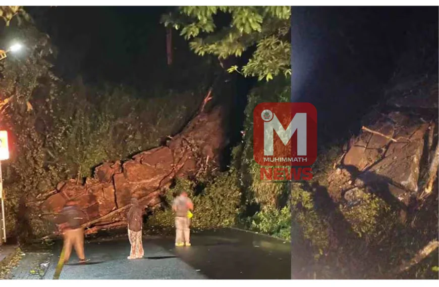 മണ്ണിടിച്ചിലിനെ തുടര്‍ന്ന് താമരശ്ശേരി ചുരം വഴിയുള്ള ഗതാഗതം വിലക്കി 