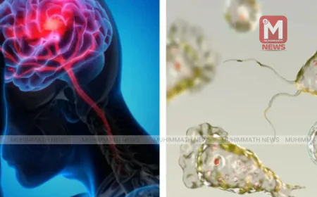 സംസ്ഥാനത്ത് അമീബിക് മസ്തിഷ്‌ക ജ്വരം വർധിക്കുന്നു; നീന്തല്‍ കുളങ്ങള്‍ക്ക് കര്‍ശന നിര്‍ദേശങ്ങള്‍