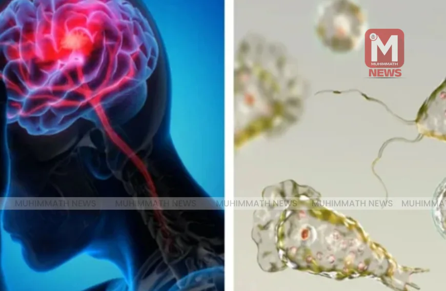 സംസ്ഥാനത്ത് അമീബിക് മസ്തിഷ്‌ക ജ്വരം വർധിക്കുന്നു; നീന്തല്‍ കുളങ്ങള്‍ക്ക് കര്‍ശന നിര്‍ദേശങ്ങള്‍