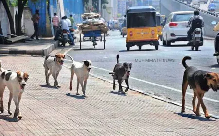 ഡൽഹി ജവഹർലാൽ നെഹ്റു സ്റ്റേഡിയത്തിൽ വിദേശ പരിശീലകരെ തെരുവ് നായകൾ ആക്രമിച്ചു