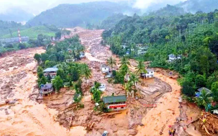 ವಯನಾಡ್ ದುರಂತ ಸಂತ್ರಸ್ತರಿಗೆ ನೆರವು ನೀಡದ ಕೇಂದ್ರ ಸರ್ಕಾರದ ವಿರುದ್ಧ ಕೇರಳ ಹೈಕೋರ್ಟ್ ತೀವ್ರ ಆಕ್ರೋಶ