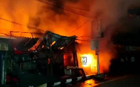 ಆಂಧ್ರಪ್ರದೇಶ | ಪಟಾಕಿ ತಯಾರಿಕಾ ಘಟಕದಲ್ಲಿ ಬೆಂಕಿ ಅವಘಡ: 6 ಸಾವು