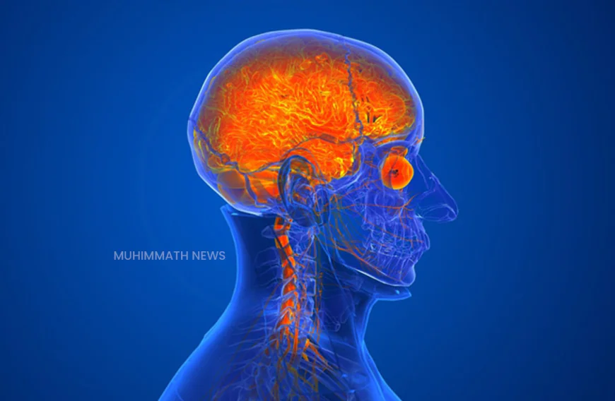 അമീബിക് മസ്തിഷ്‌ക ജ്വരം; ചികിത്സയിലായിരുന്ന ഒരാള്‍ കൂടി മരിച്ചു