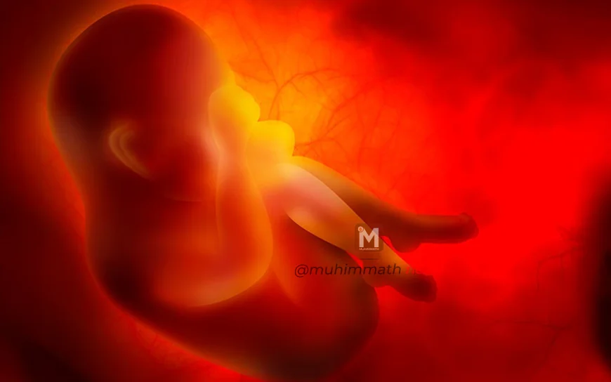 ಹೆಣ್ಣು ಭ್ರೂಣ ಲಿಂಗ ಪತ್ತೆ ಹಚ್ಚಿ ಹತ್ಯೆ - ಮೂವರು ಅರೆಸ್ಟ್