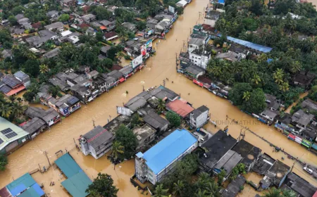 ശ്രീലങ്കയെ പിടിച്ചുലച്ച് ദിത്വ ചുഴലിക്കാറ്റ്; മരണസംഖ്യ 200 കടന്നു 