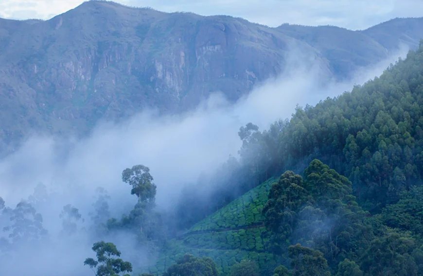 താപനില പൂജ്യം ഡിഗ്രി സെല്‍ഷ്യസ്; തണുപ്പിൽ പൊതിഞ്ഞ് മൂന്നാര്‍
