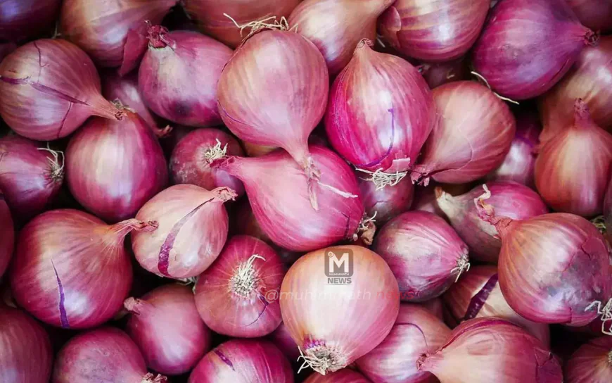 ಭಾರತದ ಈರುಳ್ಳಿ ಪೂರೈಕೆಗೆ ಬಾಂಗ್ಲಾ ಬ್ರೇಕ್ - ರೈತರಿಗೆ ನೂರಾರು ಕೋಟಿ ನಷ್ಟ