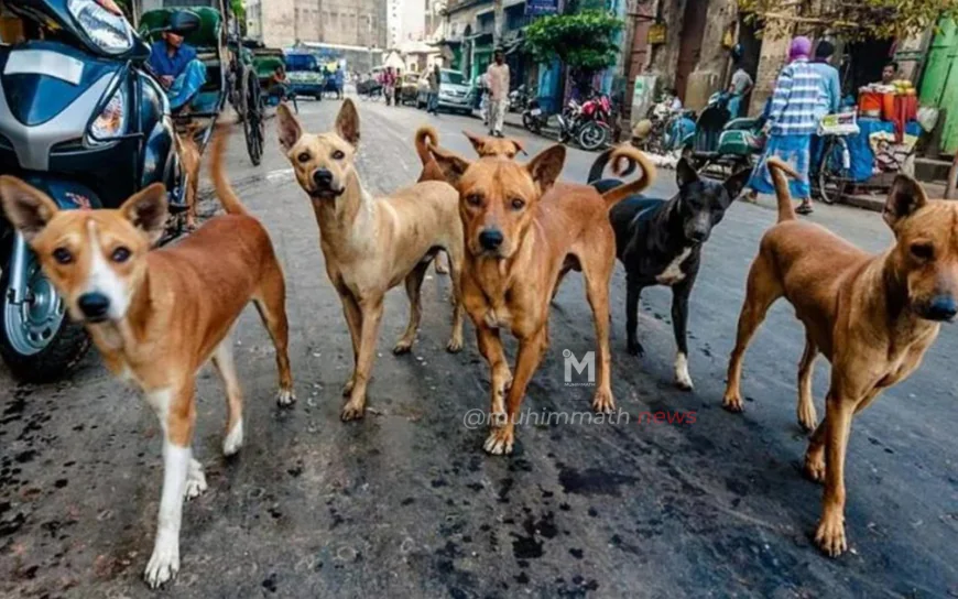 ತೆಲಂಗಾಣದಲ್ಲಿ ಸುಮಾರು 500 ಬೀದಿ ನಾಯಿಗಳಿಗೆ ವಿಷವಿಕ್ಕಿ ಹತ್ಯೆ: 15 ಮಂದಿಯ ವಿರುದ್ಧ ಕ್ರಮ