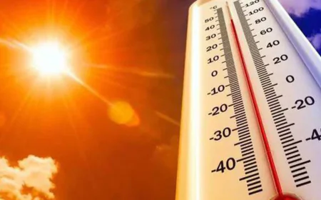 സംസ്ഥാനത്ത് വ്യാഴാഴ്ച വരെ ഉയര്‍ന്ന താപനില; ജില്ലയിൽ മഞ്ഞ അലര്‍ട്ട് പ്രഖ്യാപിച്ചു