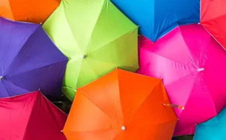 വോട്ടെടുപ്പ് ദിവസം ബിഎൽഒമാർക്ക് കുട നൽകാൻ തിരഞ്ഞെടുപ്പ് കമ്മീഷൻ