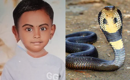 കാസർഗോഡ് പാമ്പു കടിയേറ്റ് ചികിത്സയിലായിരുന്ന നാലര വയസ്സുകാരി മരിച്ചു