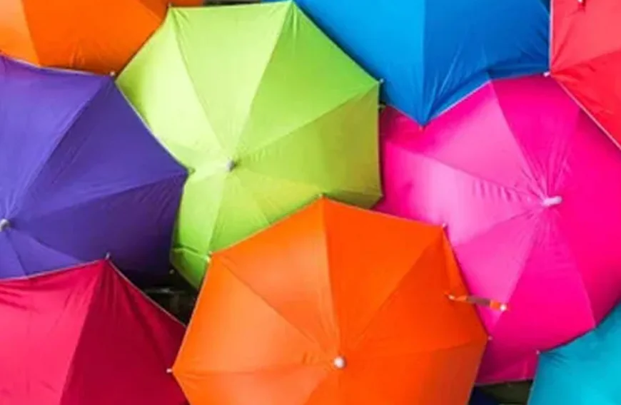 വോട്ടെടുപ്പ് ദിവസം ബിഎൽഒമാർക്ക് കുട നൽകാൻ തിരഞ്ഞെടുപ്പ് കമ്മീഷൻ