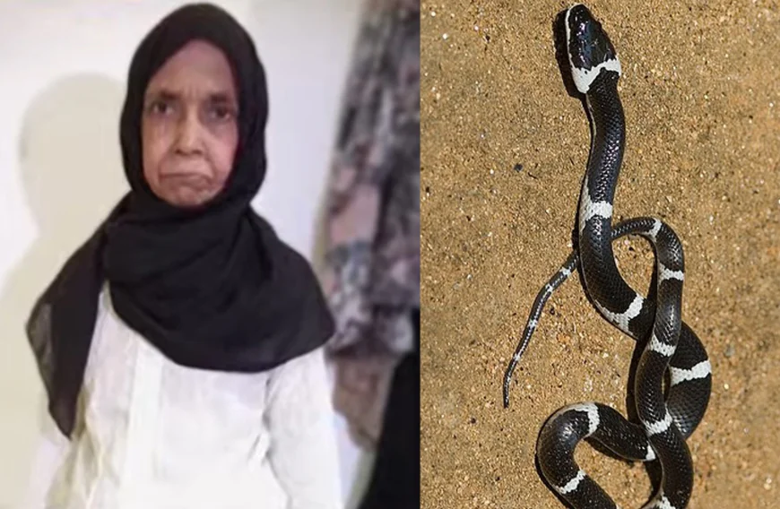 സംസ്ഥാനത്ത് വീണ്ടും പാമ്പുകടി മരണം; ചികിത്സയിലിക്കെ കണ്ണൂർ സ്വദേശിനി മരിച്ചു