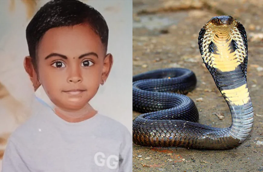 കാസർഗോഡ് പാമ്പു കടിയേറ്റ് ചികിത്സയിലായിരുന്ന നാലര വയസ്സുകാരി മരിച്ചു