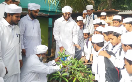 പരിസ്ഥിതി ദിനം; കളത്തൂർ മദീന മഖ്ദൂം മദ്റസത്തുൽ ബദ്രിയ്യയിൽ പരിസ്ഥിതി വാരാചരണത്തിന് തുടക്കമായി