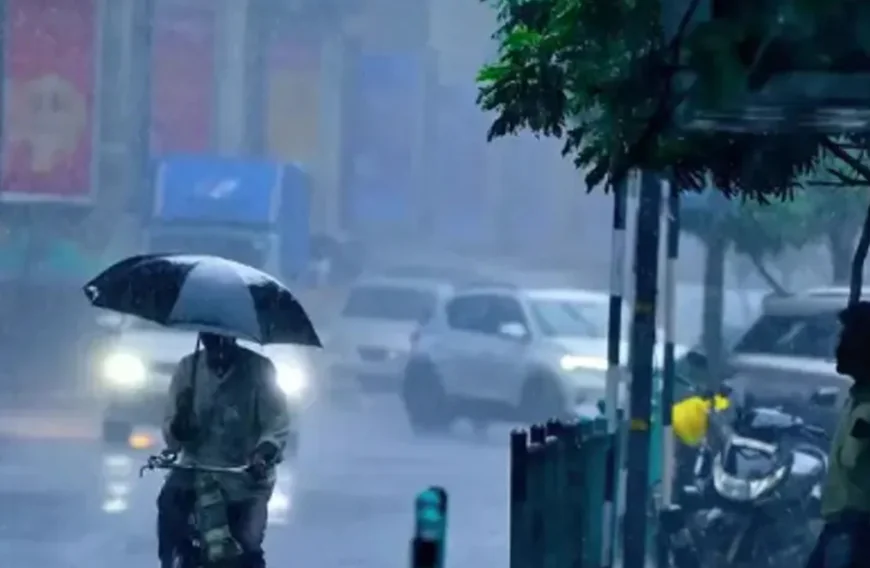 വടക്കൻ കേരളത്തിൽ മഴ കനക്കുന്നു: കാസർകോട്, കണ്ണൂർ ജില്ലകളിൽ ഓറഞ്ച് അലർട്ട് പ്രഖ്യാപിച്ചു