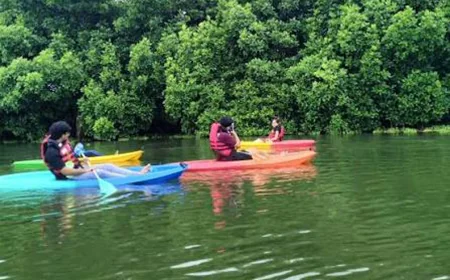 മനോഹരമായ ആരിക്കാടി കയാക്കിങ്: കാസർഗോഡ് ടൂറിസത്തിന് പുതിയ ഉണർവ്