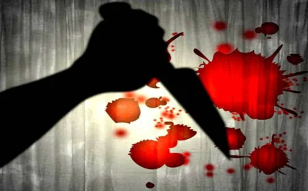 സംസ്ഥാനത്തെ ഞെട്ടിച്ച് കൊലപാതകം; അമ്മൂമ്മയെ പേരമകൻ കഴുത്തറുത്ത് കൊന്നു