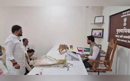 രൂക്ഷമായ തെരുവുനായ ശല്യം; പഞ്ചായത്ത് ഓഫീസിനുള്ളിൽ നായകളെ തുറന്നുവിട്ട് പ്രതിഷേധം 