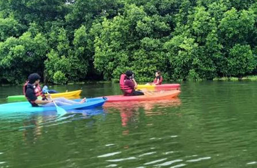 മനോഹരമായ ആരിക്കാടി കയാക്കിങ്: കാസർഗോഡ് ടൂറിസത്തിന് പുതിയ ഉണർവ്